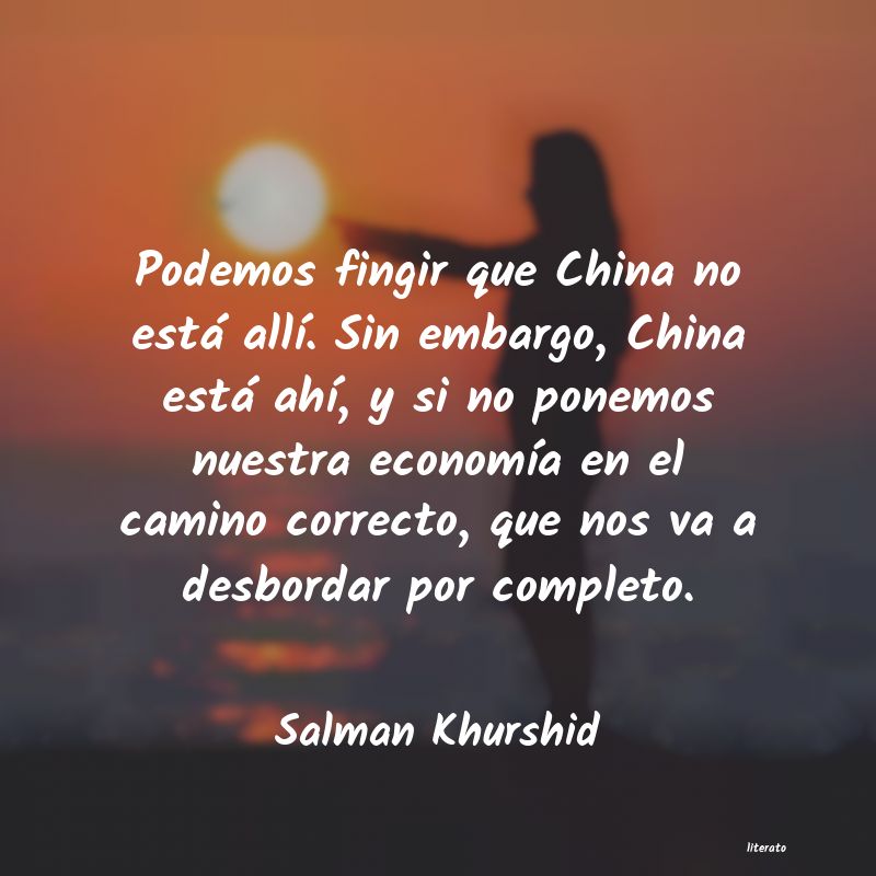 Frases de Salman Khurshid