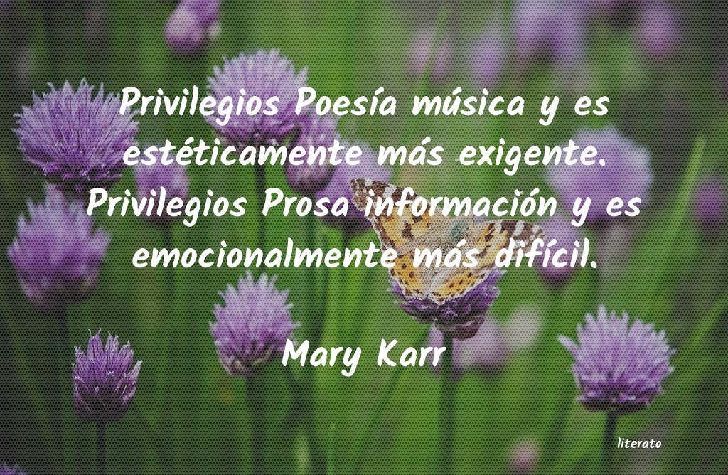 Frases de Mary Karr