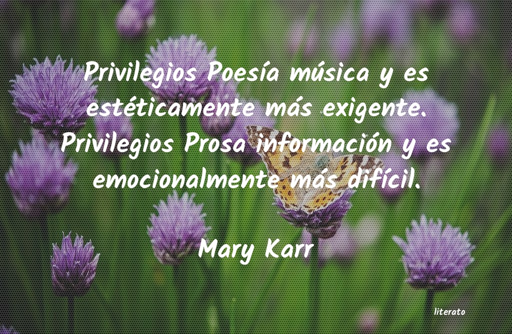 frases de Mary Karr