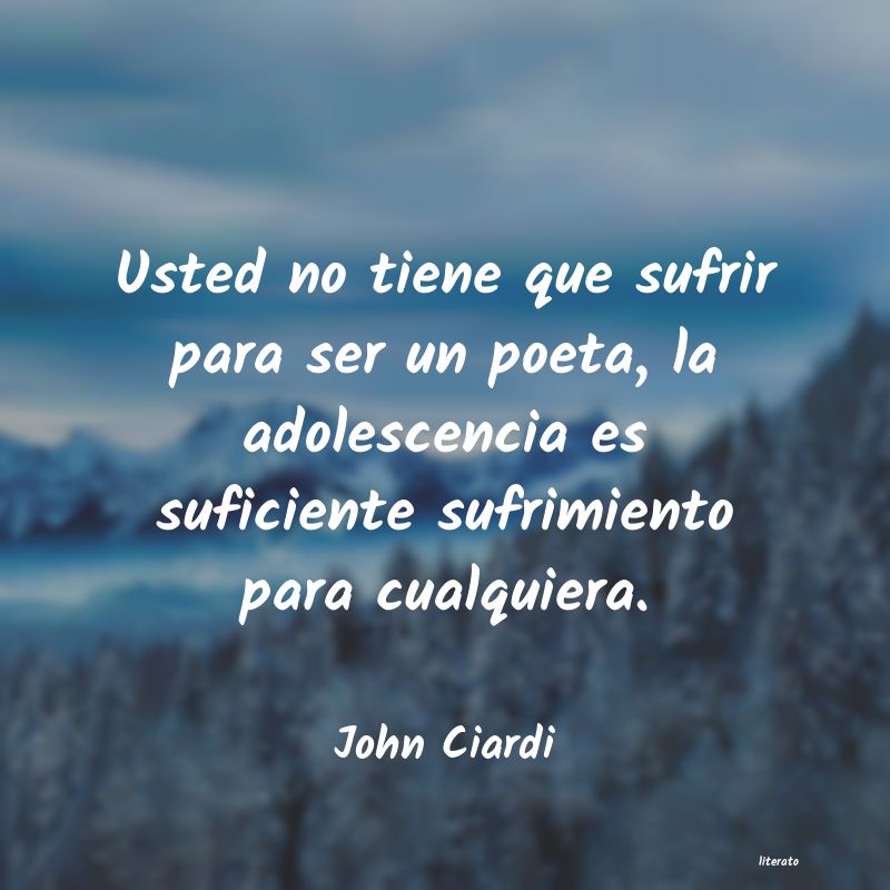 Frases de John Ciardi