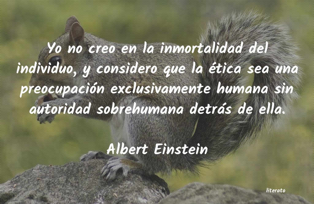 albert einstein citas simple