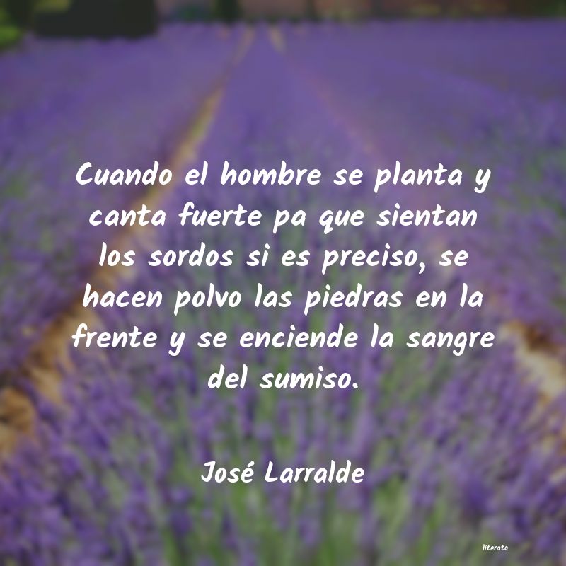 frases de José Larralde
