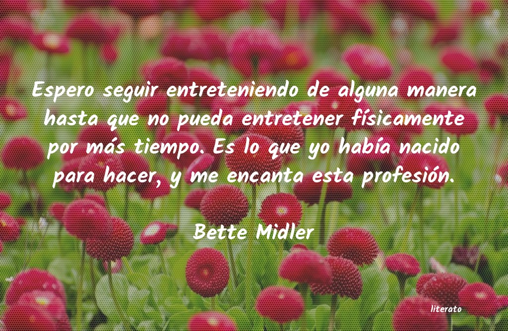 Frases de Bette Midler