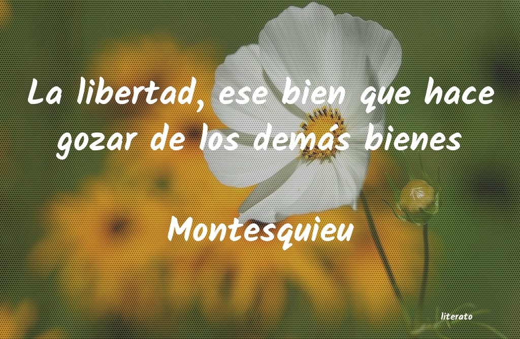 Frases de Montesquieu