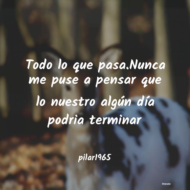 frases de pilar1965