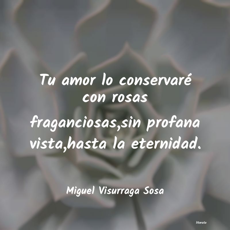 frases de Miguel Visurraga Sosa