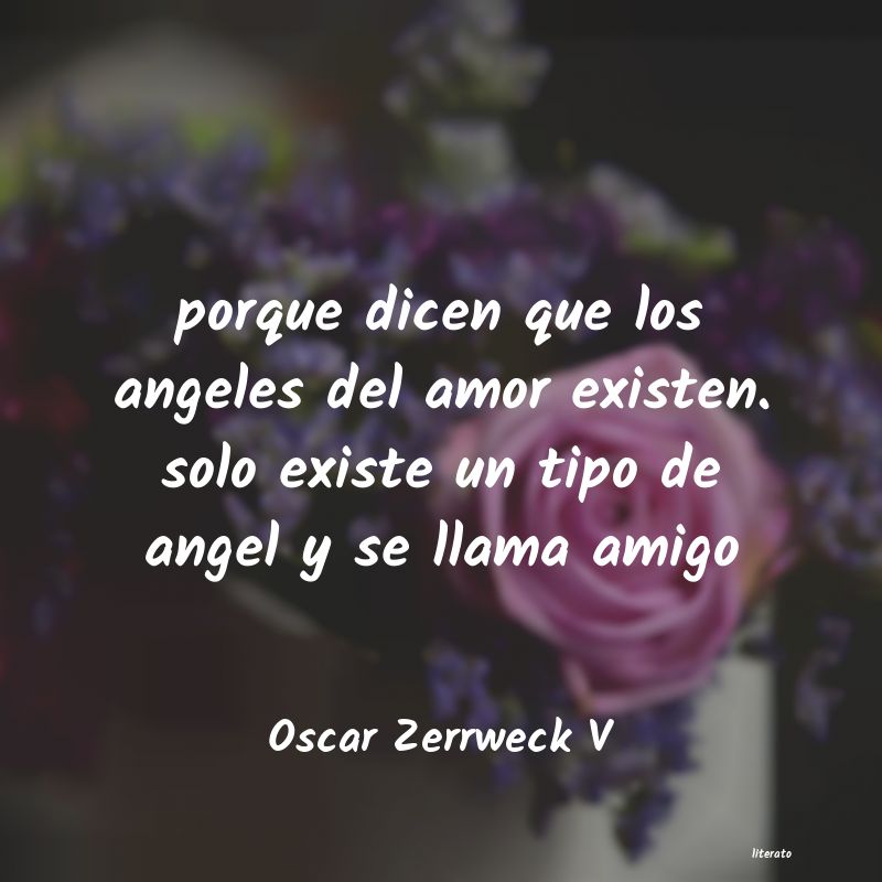 Frases de Oscar Zerrweck V