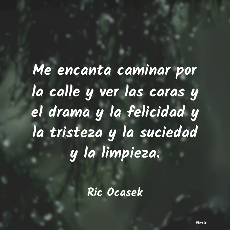 Frases de Ric Ocasek