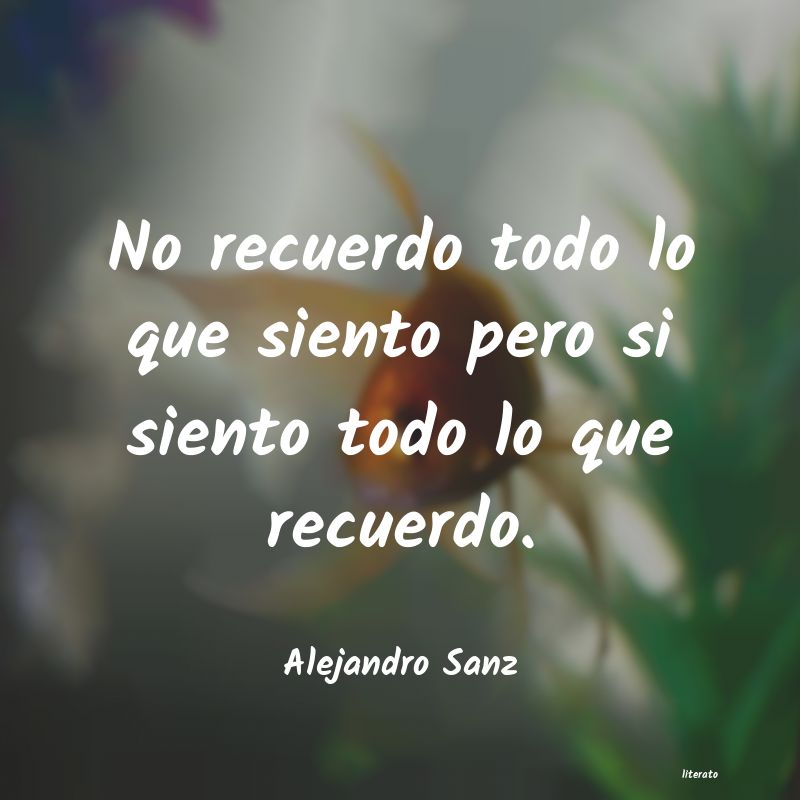 Frases de Alejandro Sanz