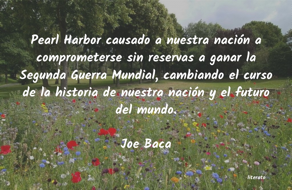 frases de Joe Baca