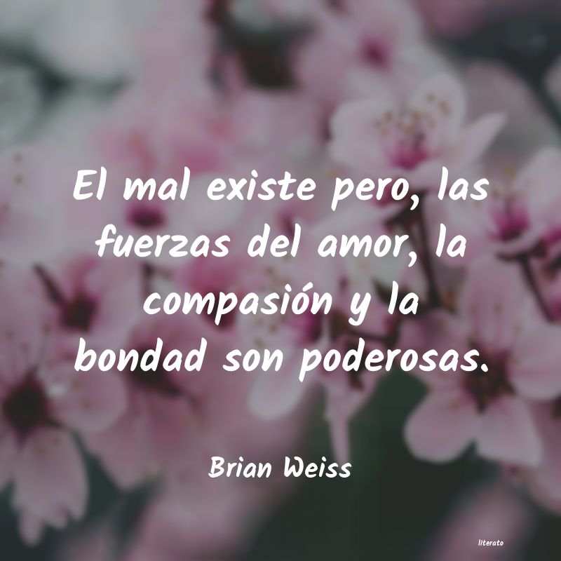 Frases de Brian Weiss