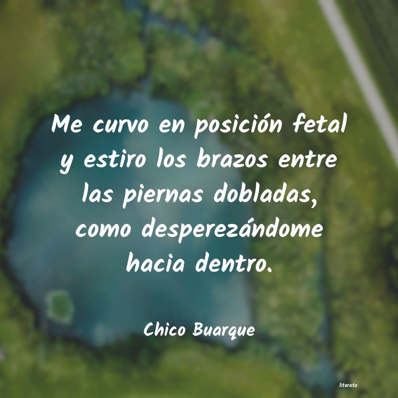 frases de Chico Buarque