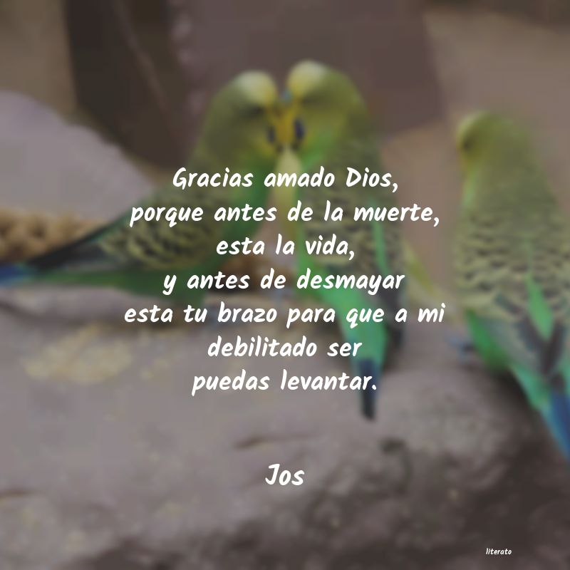 frases de Jos