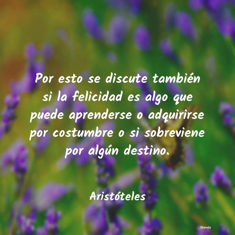 aristoteles necedad