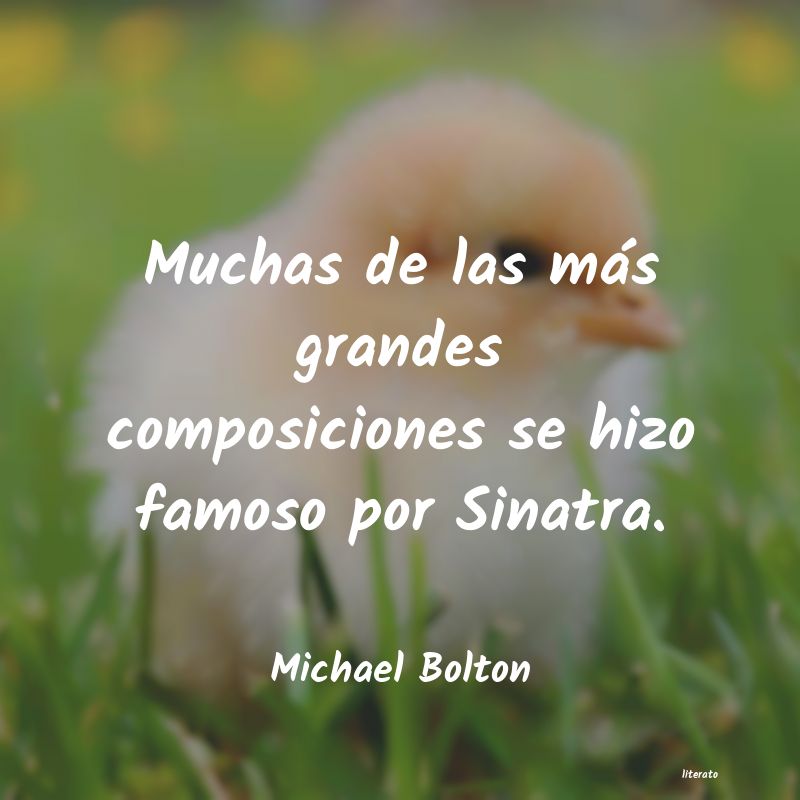 Frases de Michael Bolton