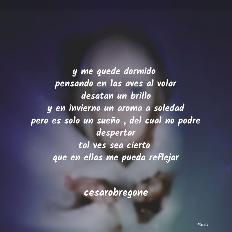 frases de cesarobregone
