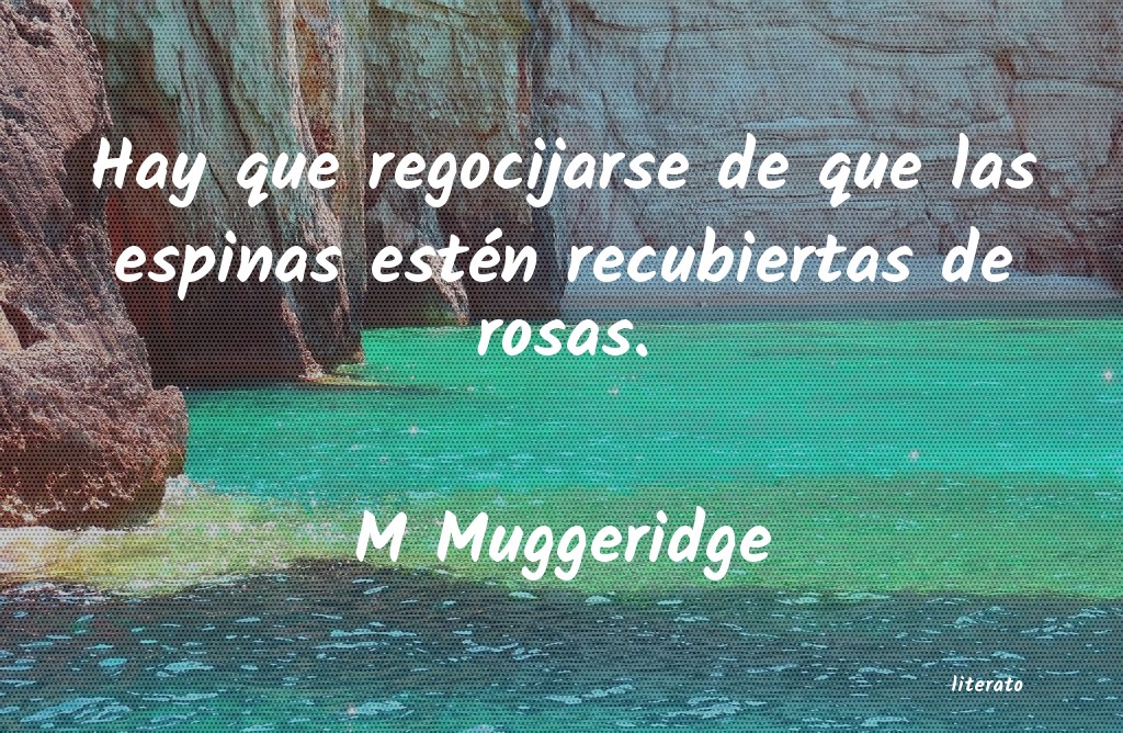 Frases de M Muggeridge