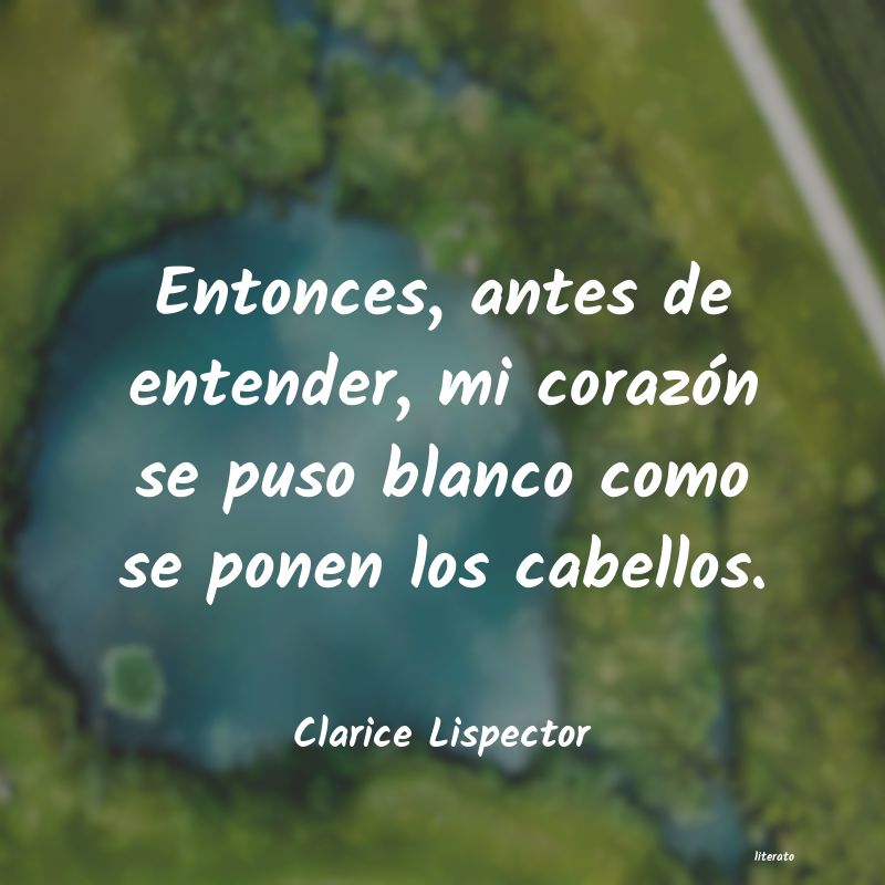 Frases de Clarice Lispector