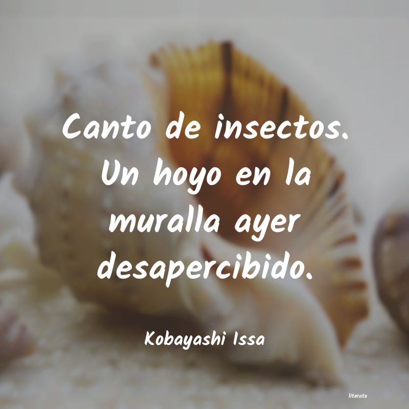 frases de Kobayashi Issa