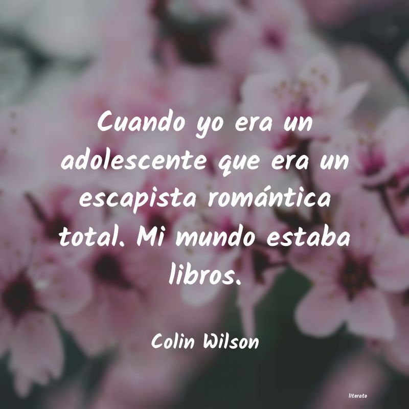 frases de Colin Wilson
