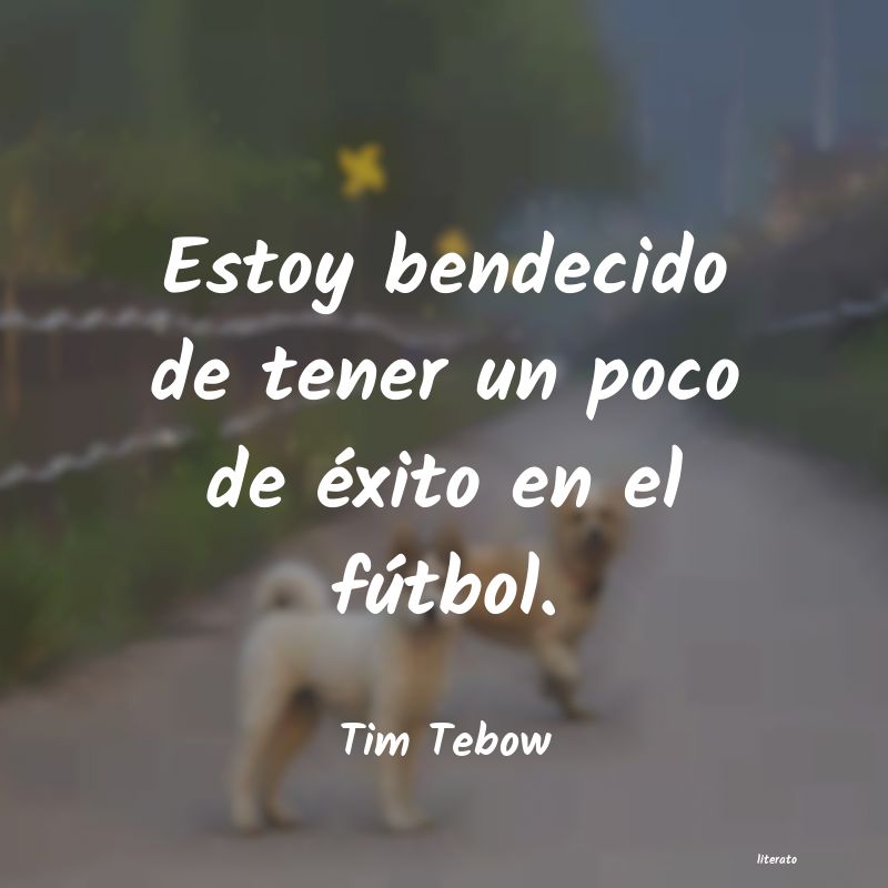 Frases de Tim Tebow