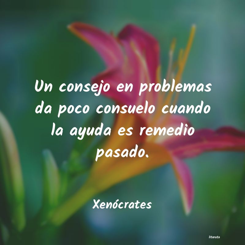 frases para resolver problemas