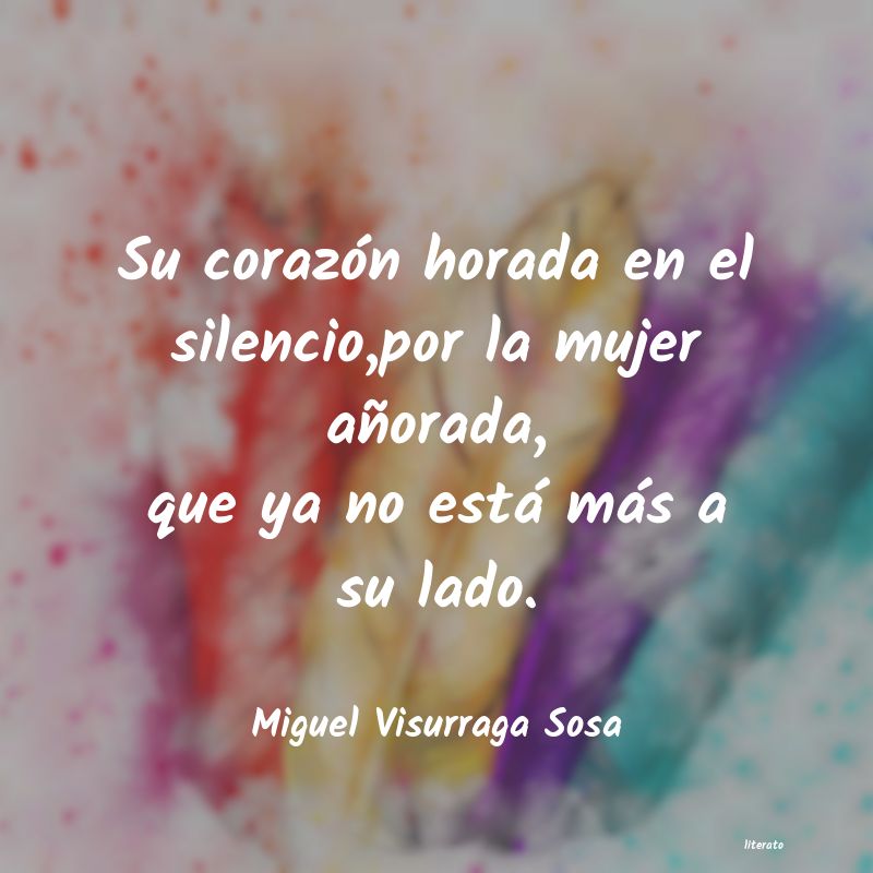 frases de Miguel Visurraga Sosa