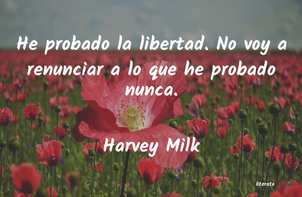 frases de Harvey Milk