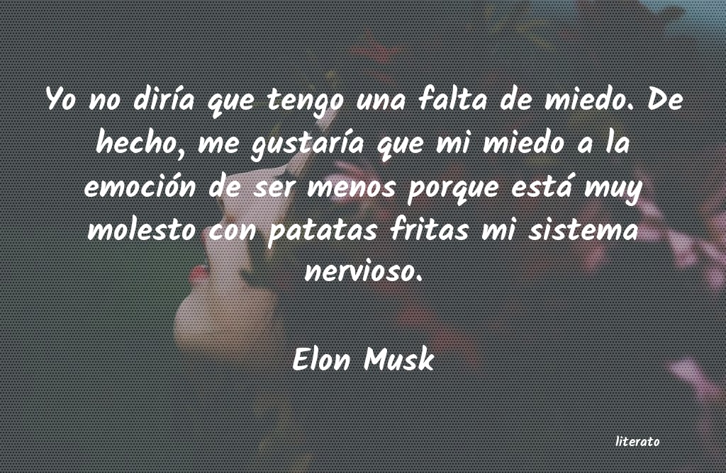 frases de Elon Musk