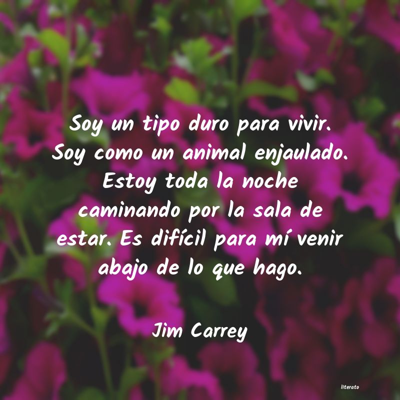 Frases de Jim Carrey