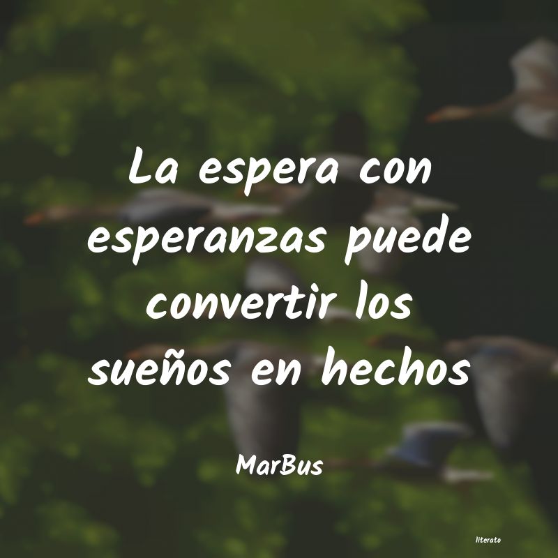 Frases de MarBus