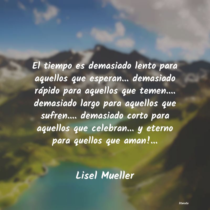 Frases de Lisel Mueller