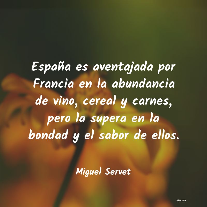 Frases de Miguel Servet