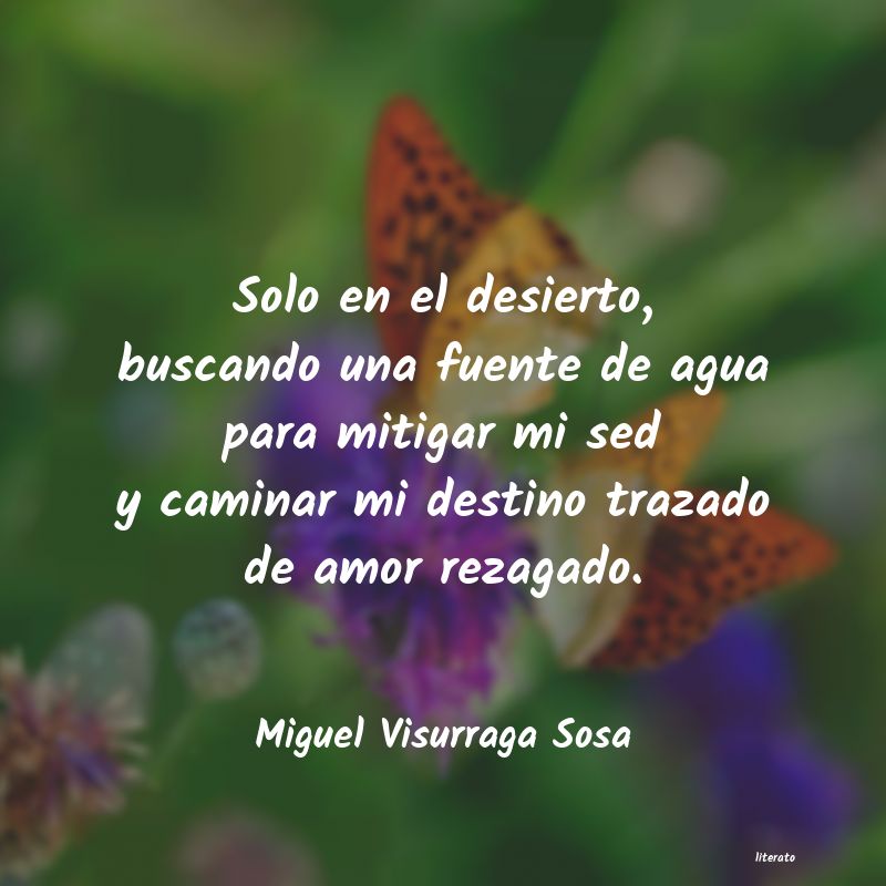 Frases de Miguel Visurraga Sosa