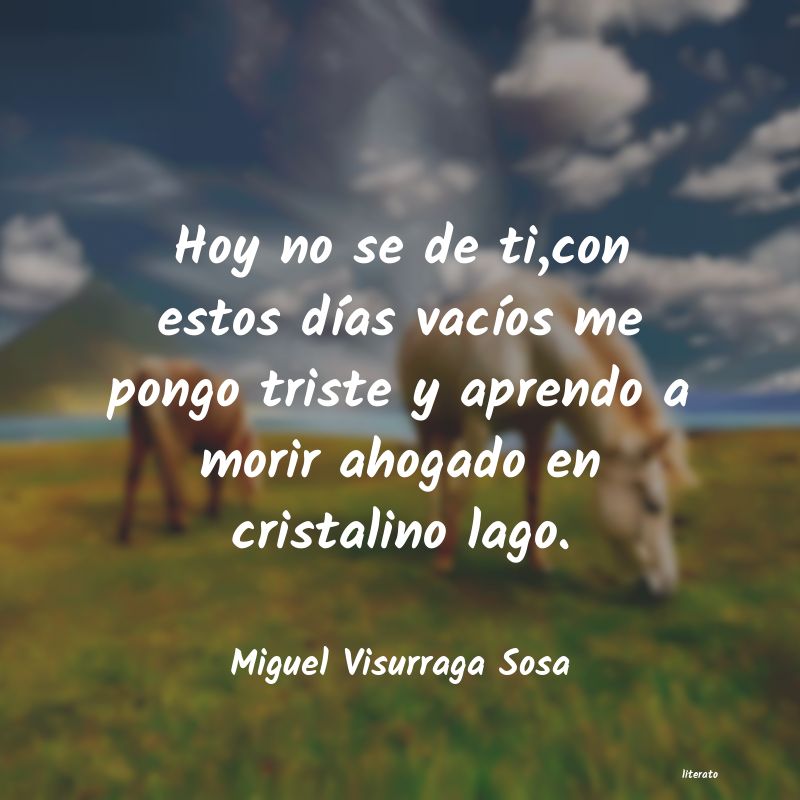 Frases de Miguel Visurraga Sosa