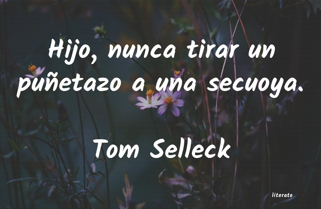 Frases de Tom Selleck