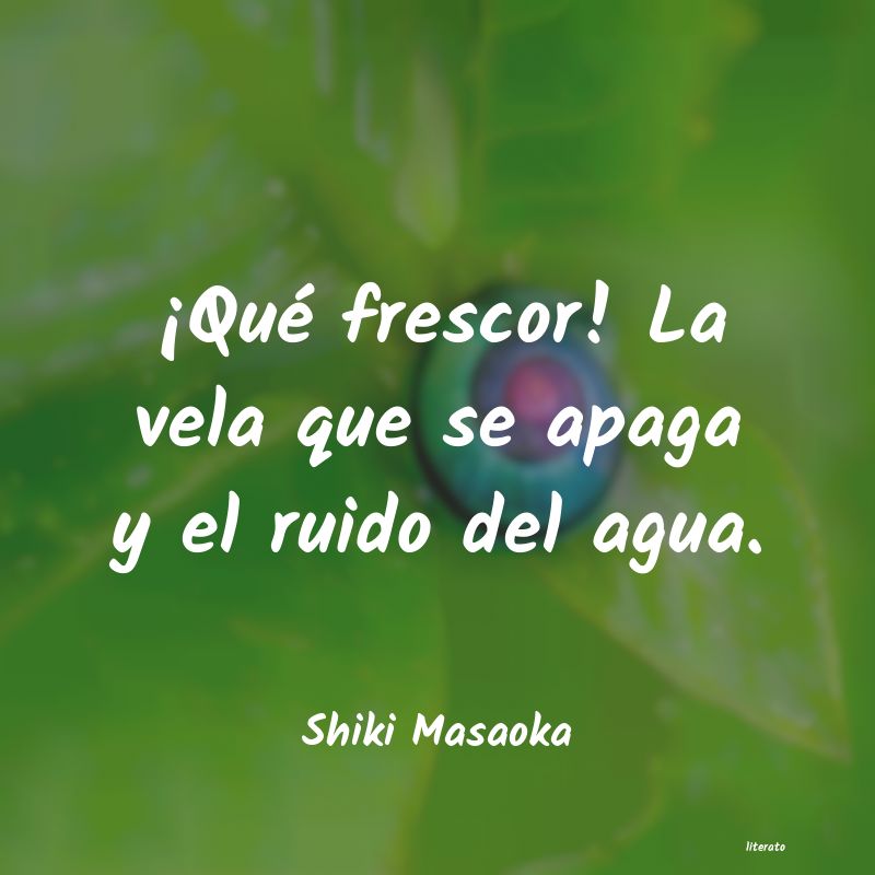 frases de Shiki Masaoka