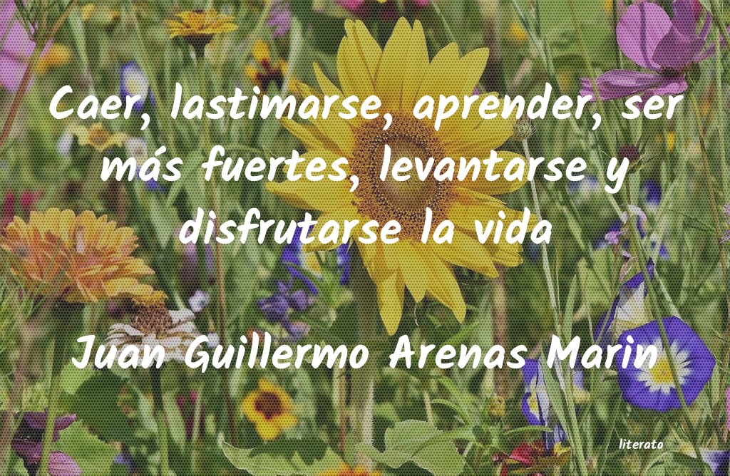 Frases de Juan Guillermo Arenas Marin