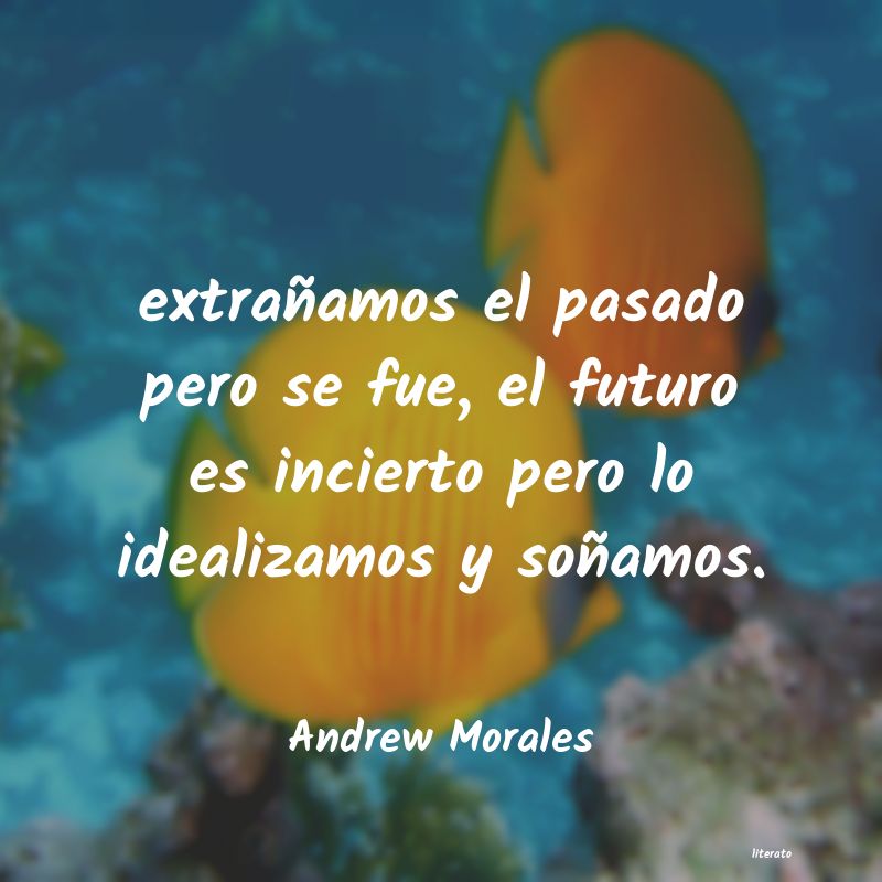 Frases de Andrew Morales