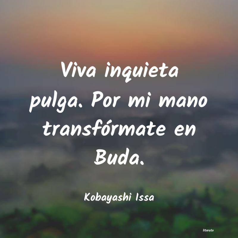 Frases de Kobayashi Issa