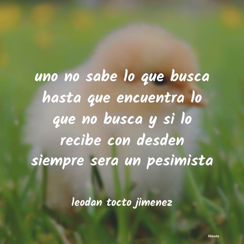 Frases de leodan tocto jimenez