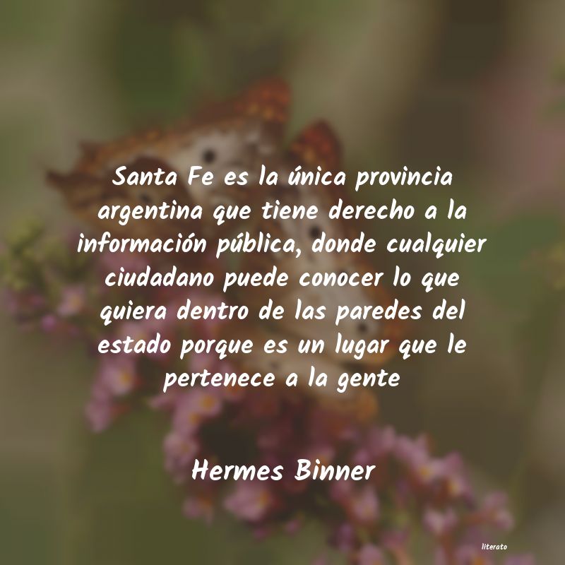 Frases de Hermes Binner