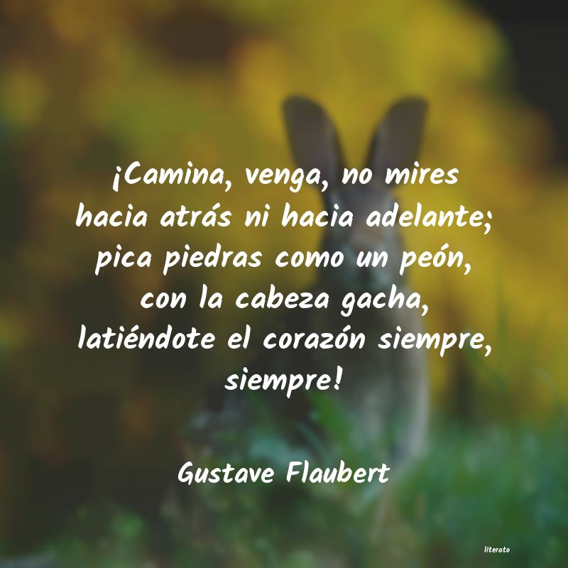 Frases de Gustave Flaubert