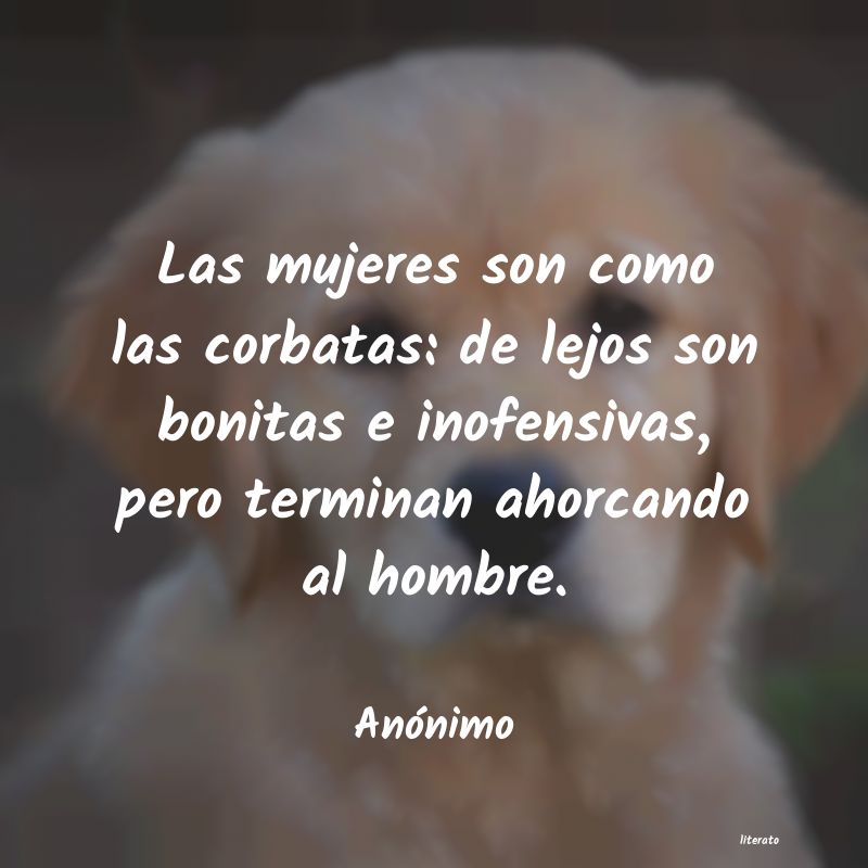 frases para mujeres ajenas