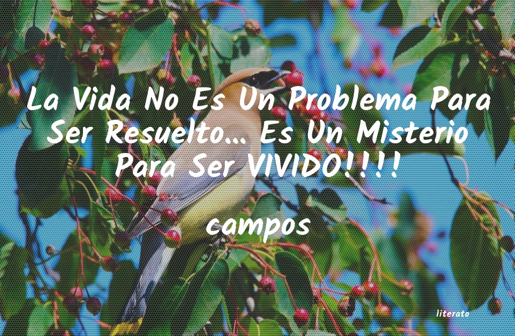 frases de campos