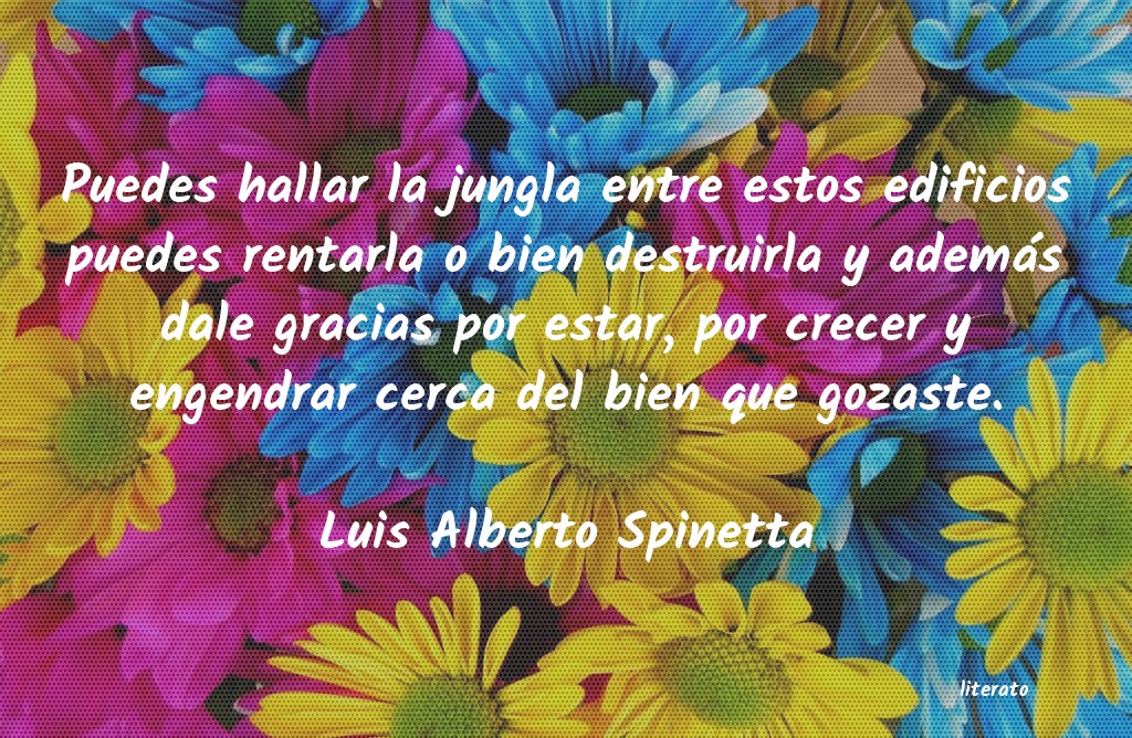Frases de Luis Alberto Spinetta