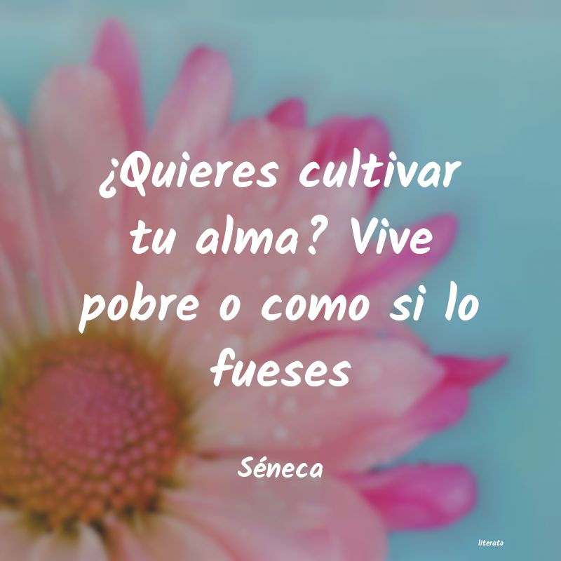 frases de Séneca