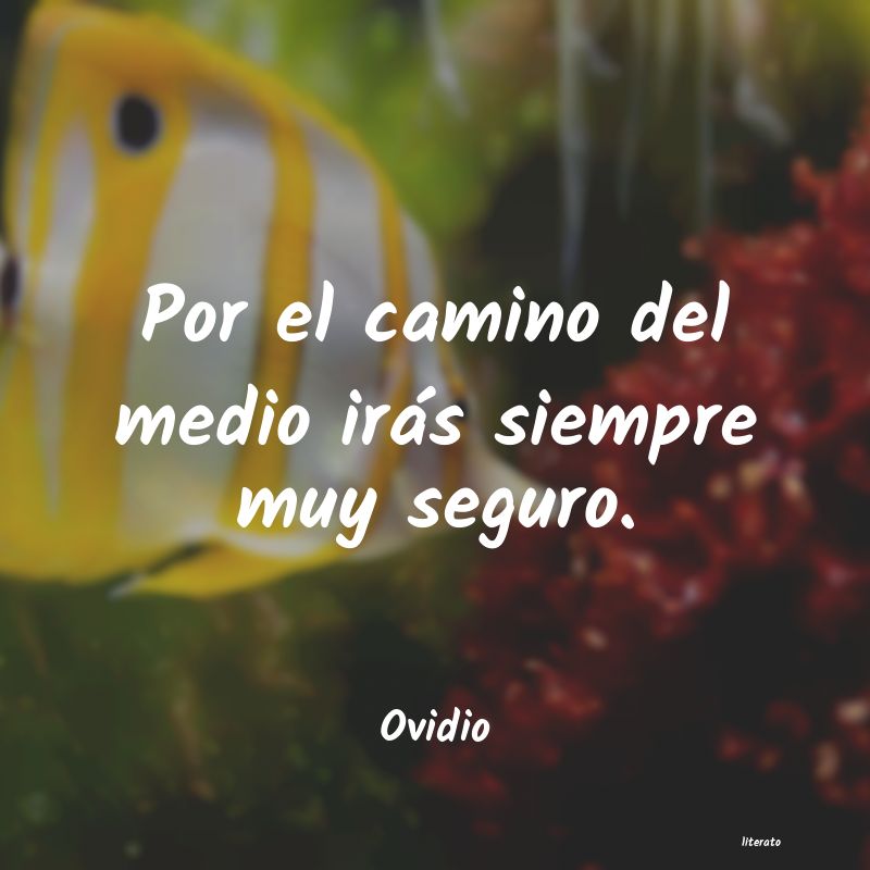 frases de Ovidio