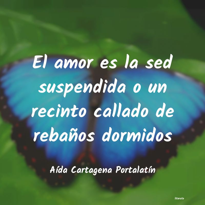frases de AÃda Cartagena PortalatÃn