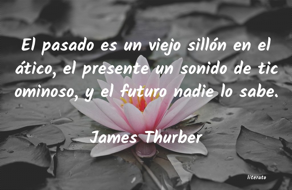 frases de James Thurber
